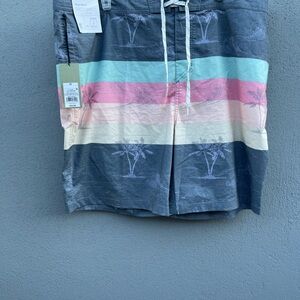 Men's Multicolor Swim Shorts